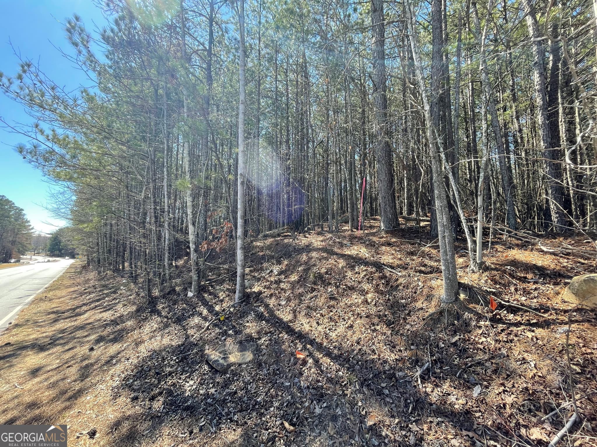 unimproved land for sale at 0 Shannon Parkway, Union City, GA 30291 — photo 1 of 17