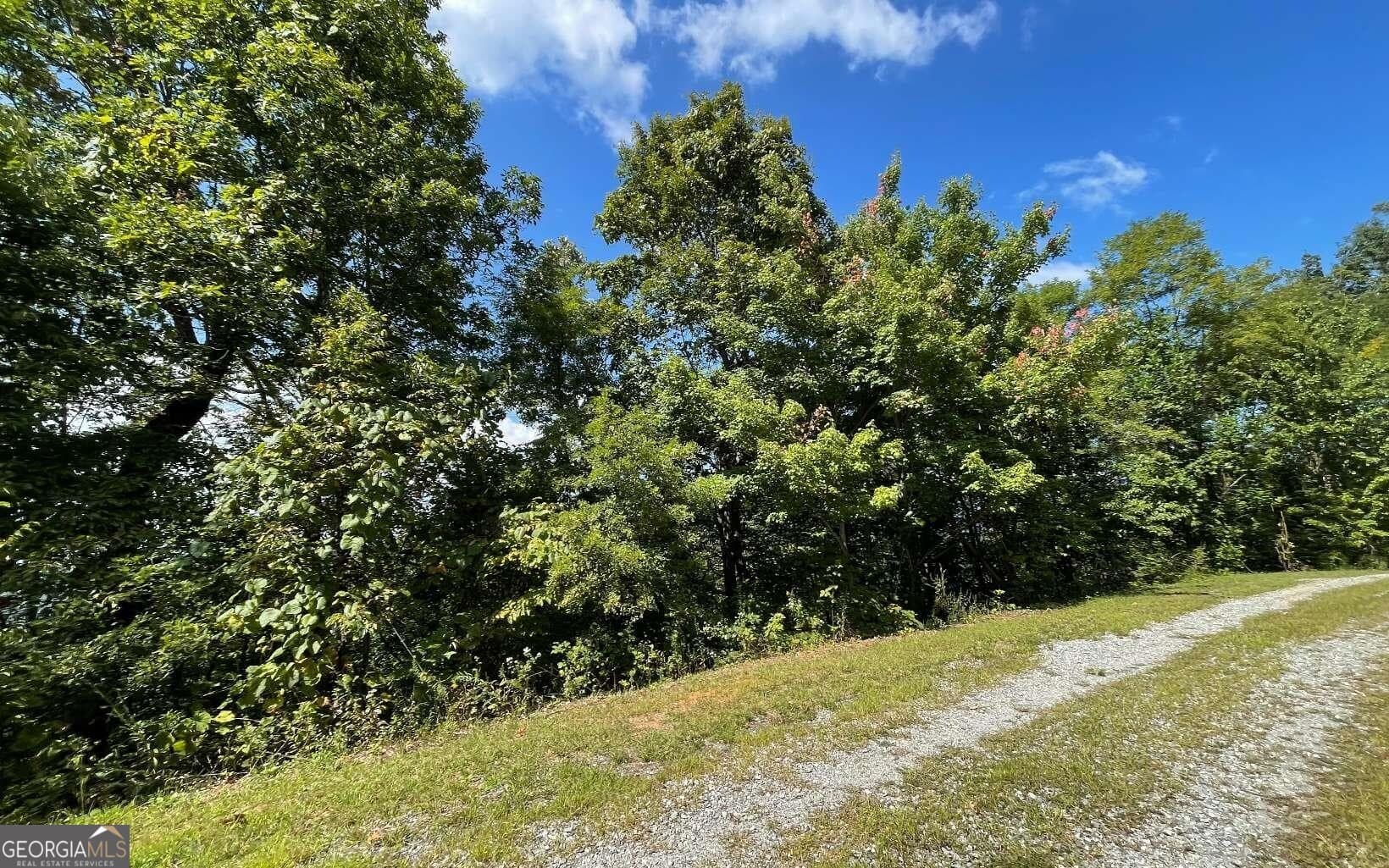residential lot for sale at LOT 14 Mountain Harbour, Hayesville, NC 28904 — photo 6