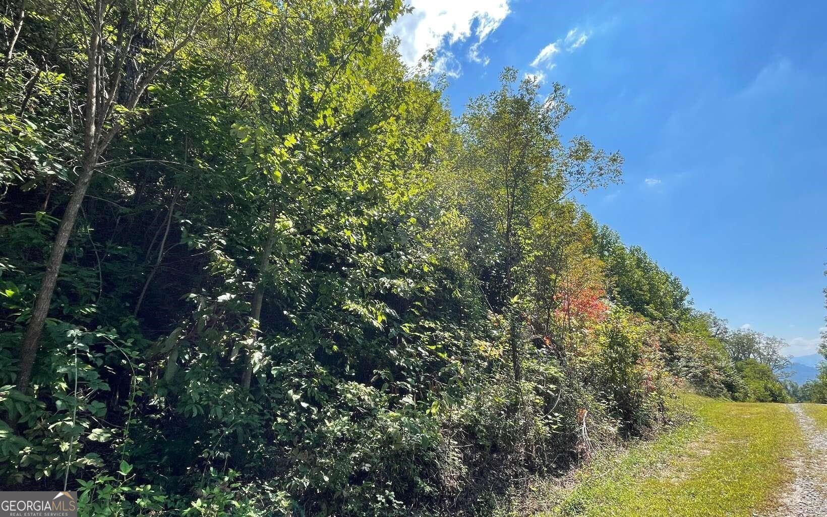 residential lot for sale at LOT 14 Mountain Harbour, Hayesville, NC 28904 — photo 7
