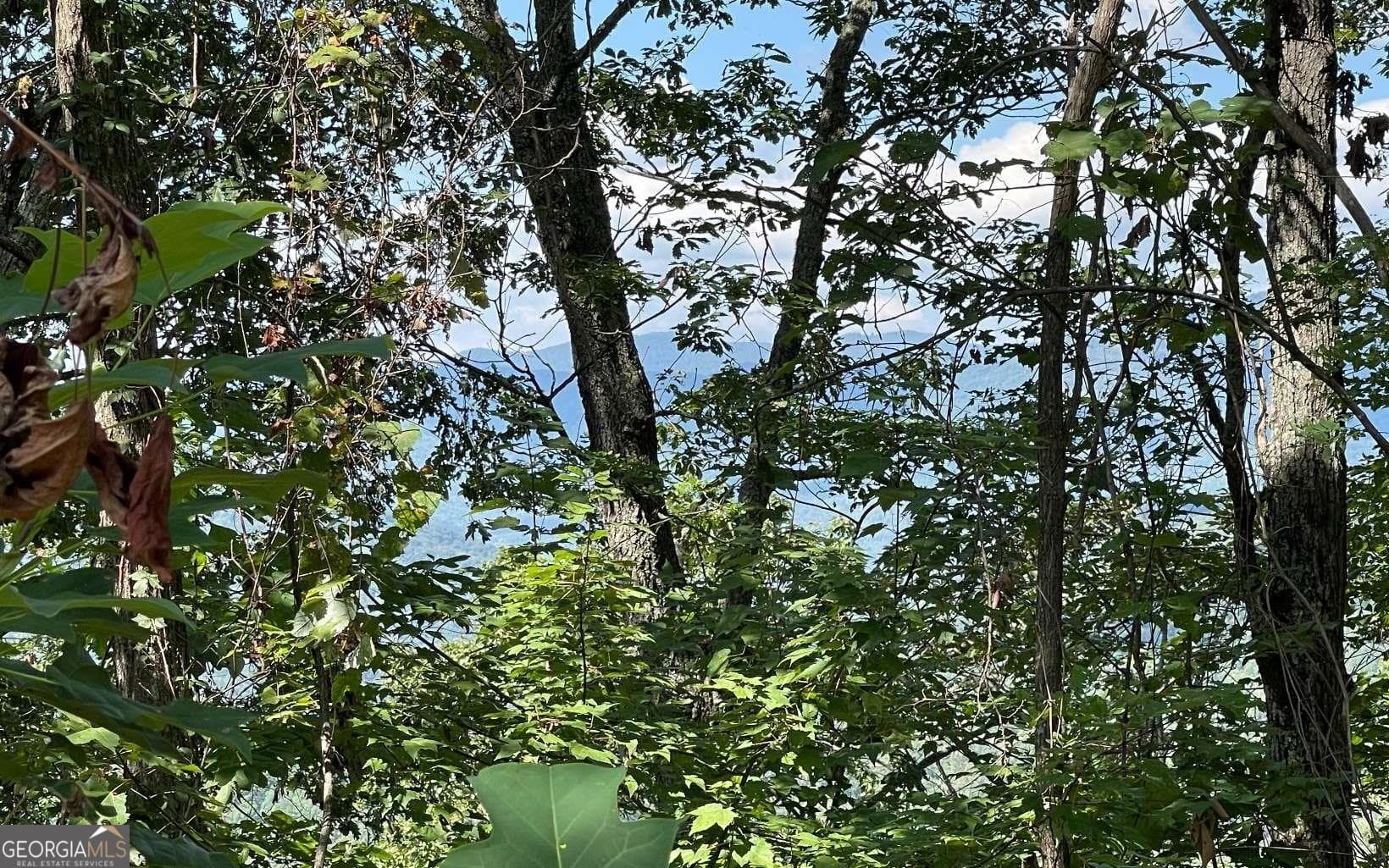 residential lot for sale at LOT 14 Mountain Harbour, Hayesville, NC 28904 — photo 9