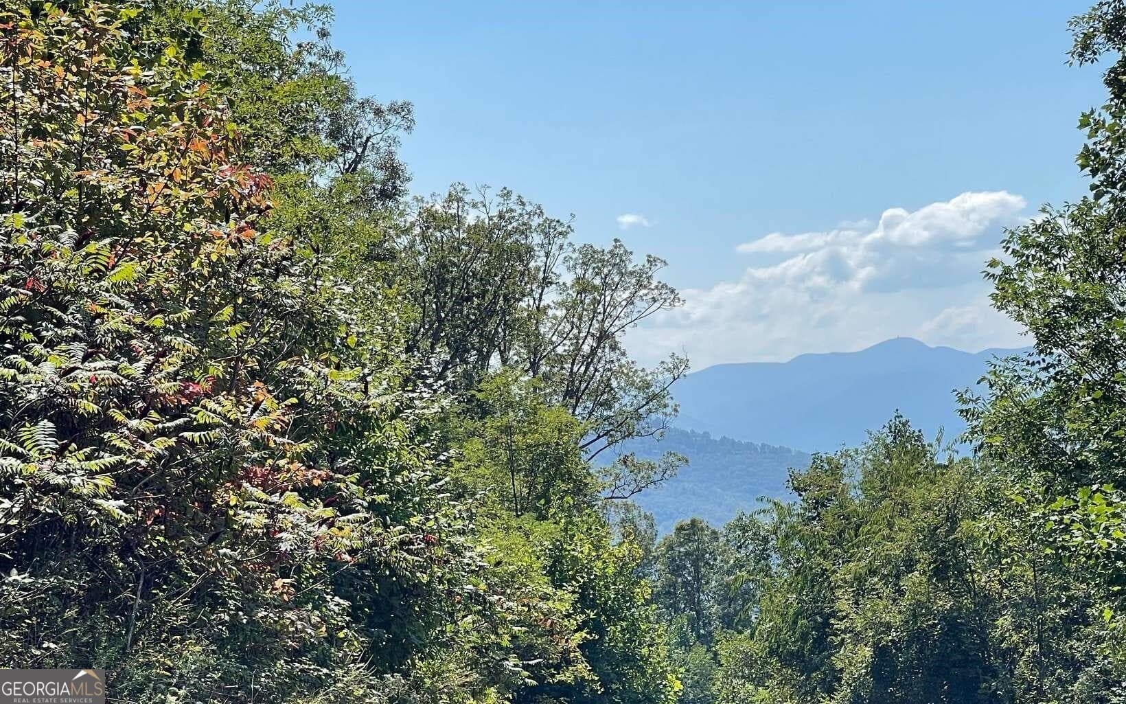 residential lot for sale at LOT 14 Mountain Harbour, Hayesville, NC 28904 — photo 4