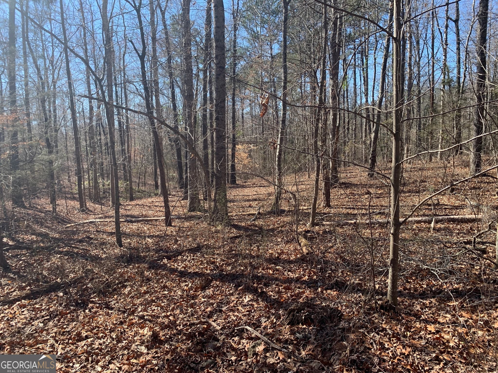unimproved land for sale at 0 Veterans Drive, Danielsville, GA 30633 — photo 6