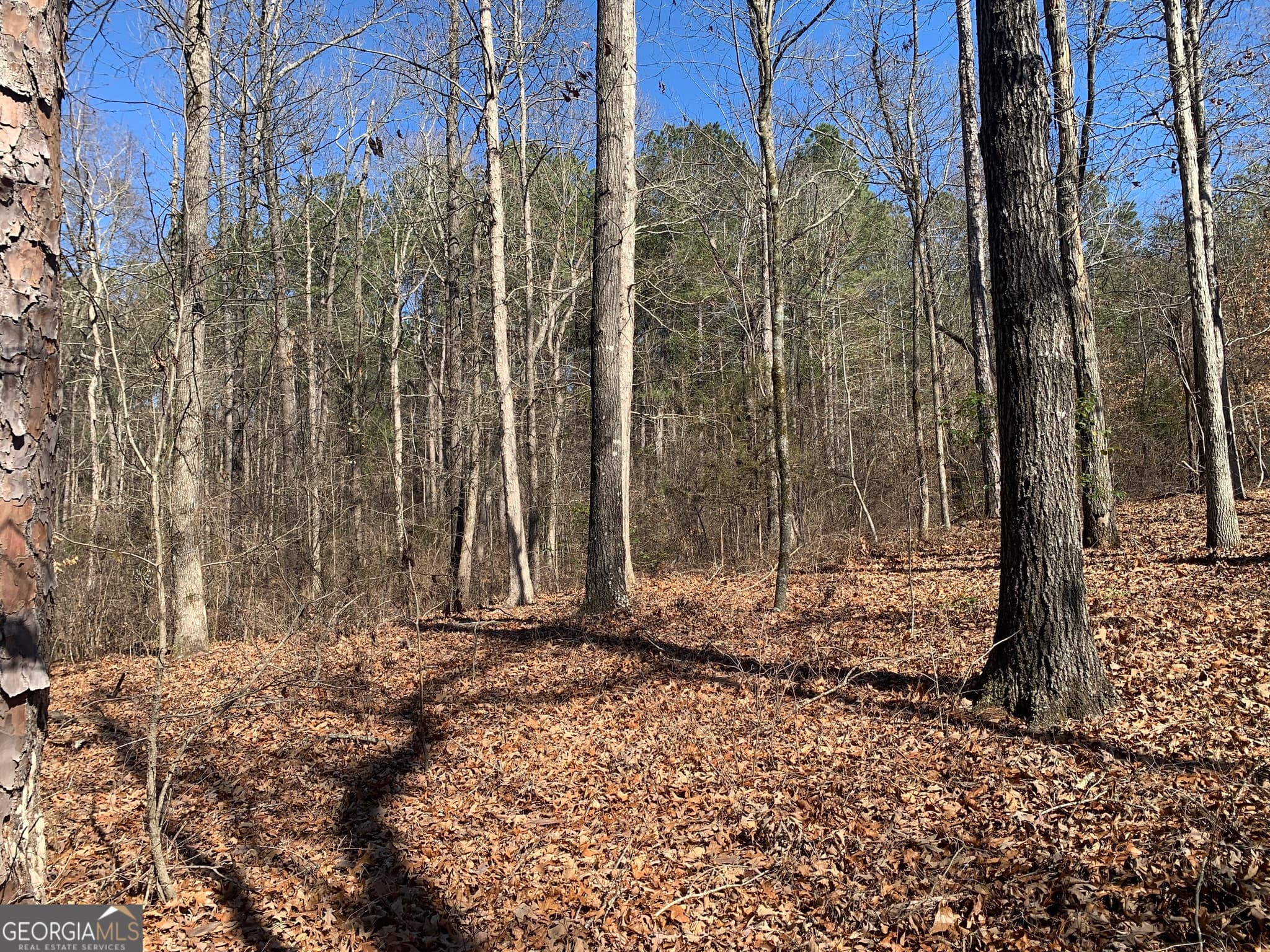 unimproved land for sale at 0 Veterans Drive, Danielsville, GA 30633 — photo 3