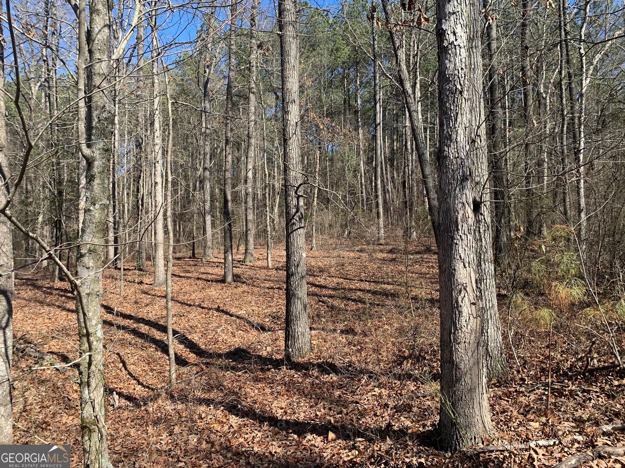 unimproved land for sale at 0 Veterans Drive, Danielsville, GA 30633 — photo 5