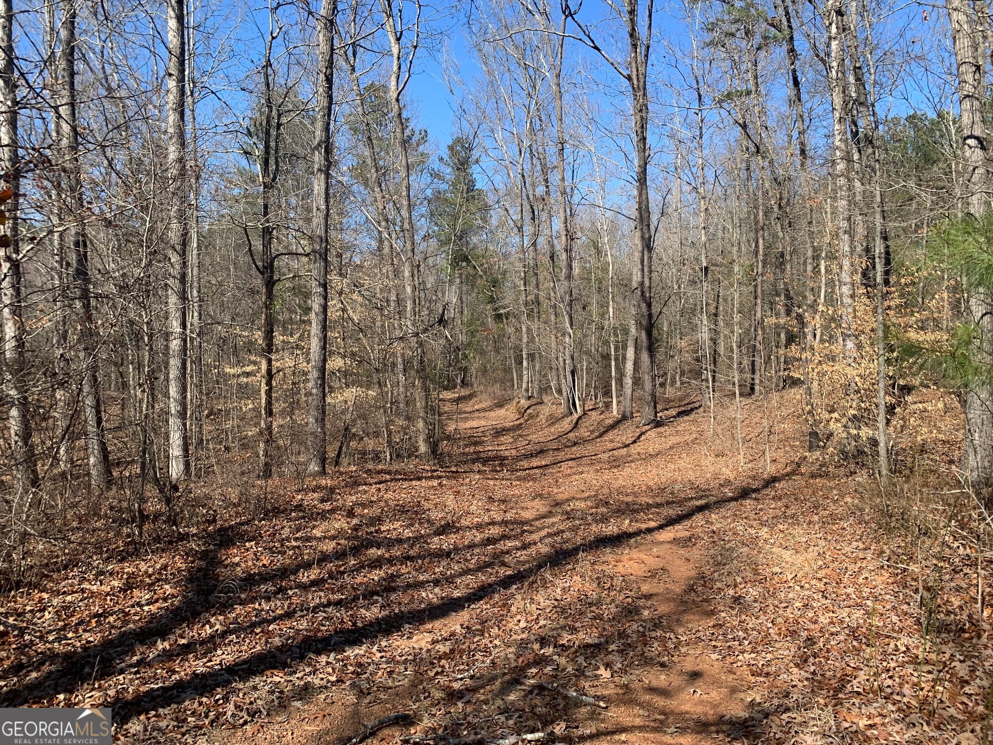 unimproved land for sale at 0 Veterans Drive, Danielsville, GA 30633 — photo 4