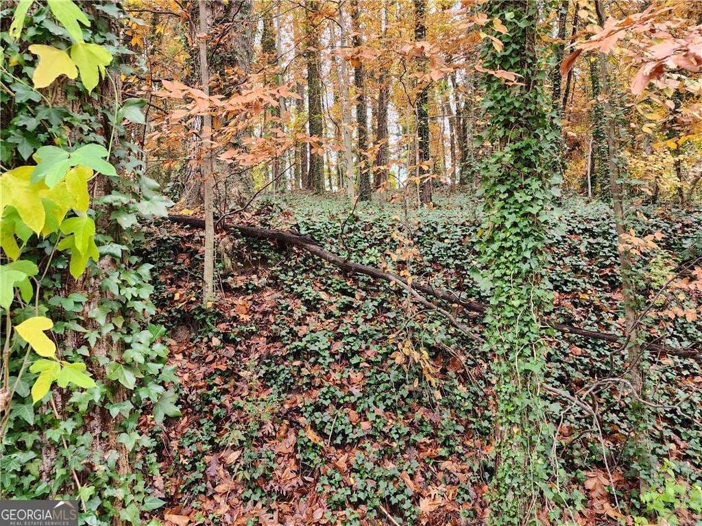 residential lot for sale at 0 Gardenia Drive, Atlanta, GA 30314 — photo 6