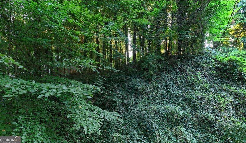residential lot for sale at 0 Gardenia Drive, Atlanta, GA 30314 — photo 1 of 7