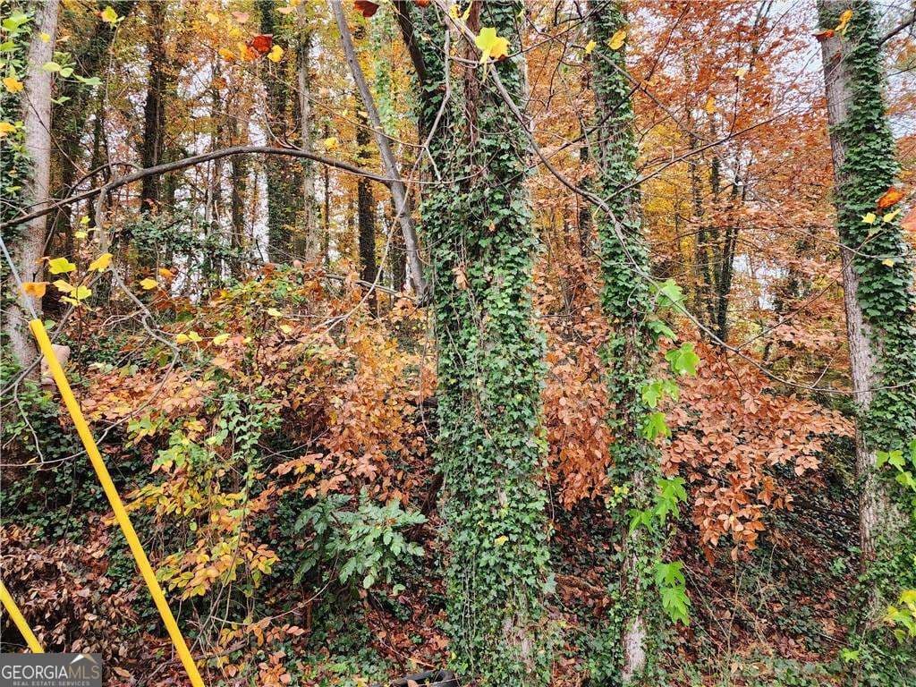 residential lot for sale at 0 Gardenia Drive, Atlanta, GA 30314 — photo 5