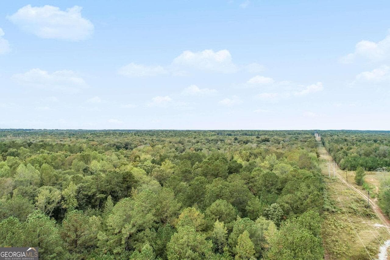 unimproved land for sale at GA 85 S Ga Highway 85, Senoia, GA 30276 — photo 2