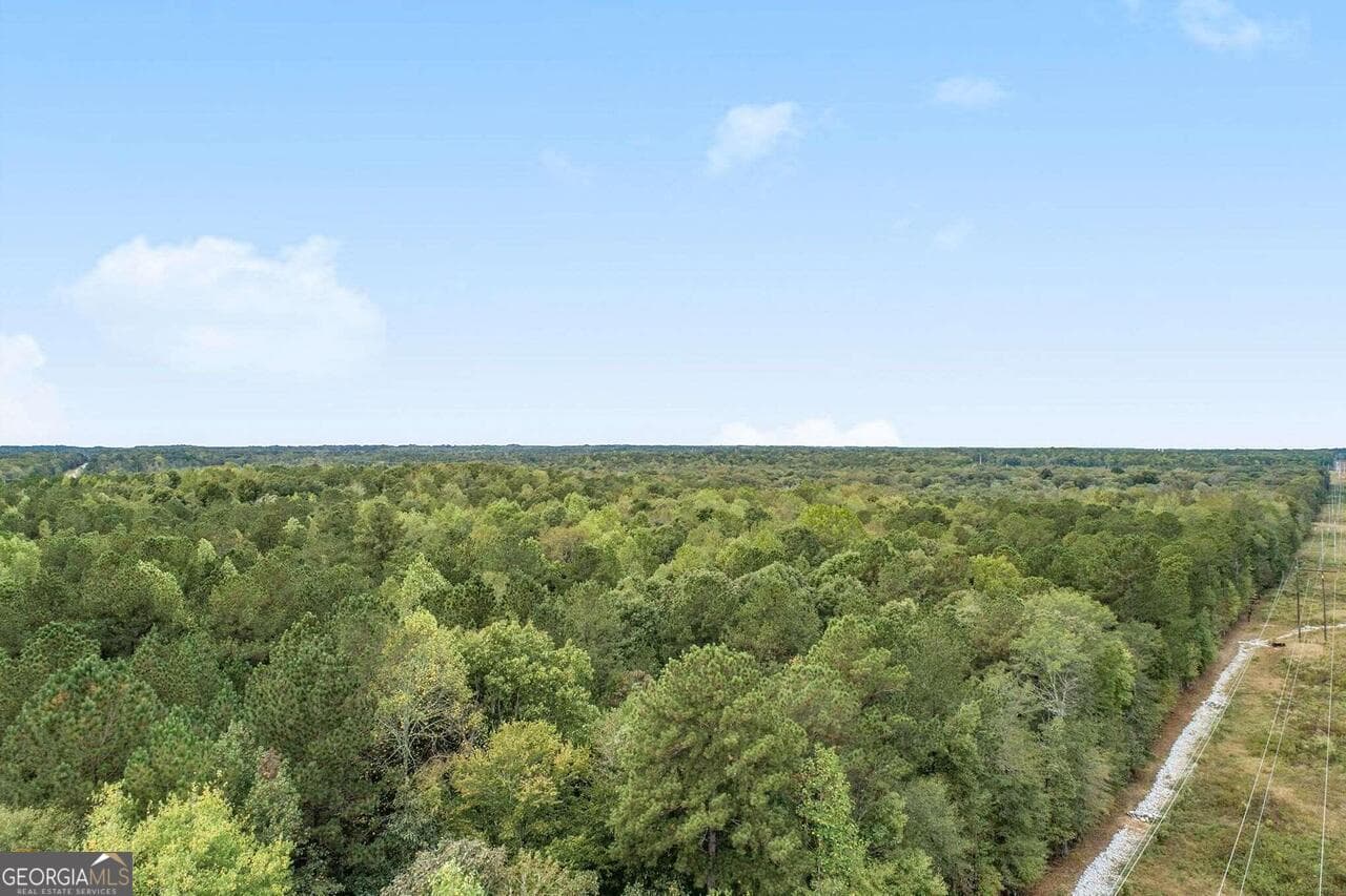 unimproved land for sale at GA 85 S Ga Highway 85, Senoia, GA 30276 — photo 1 of 5