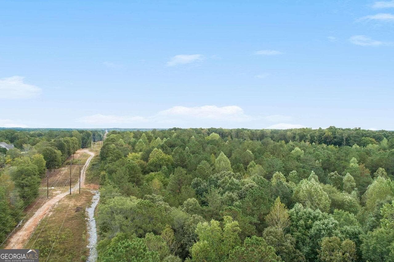 unimproved land for sale at GA 85 S Ga Highway 85, Senoia, GA 30276 — photo 5