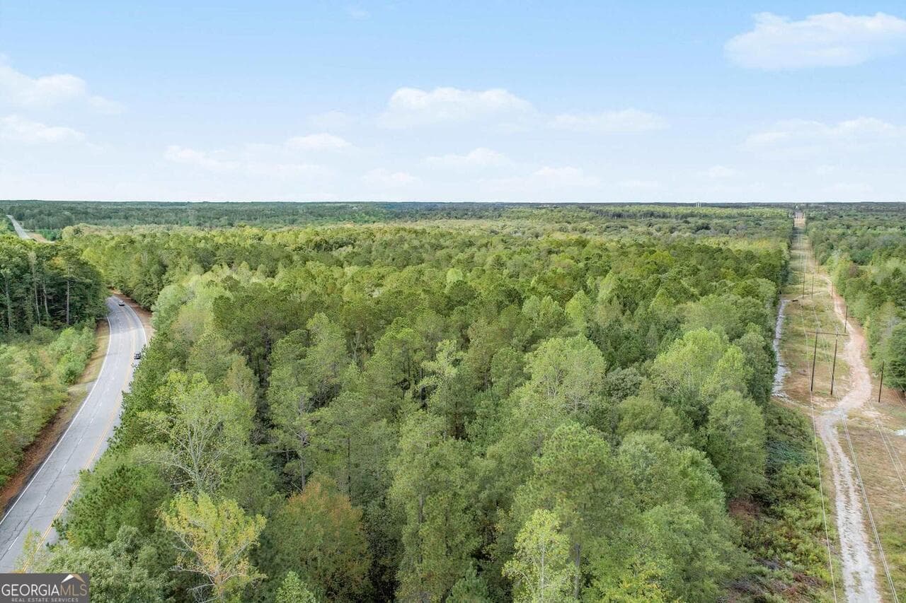 unimproved land for sale at GA 85 S Ga Highway 85, Senoia, GA 30276 — photo 4