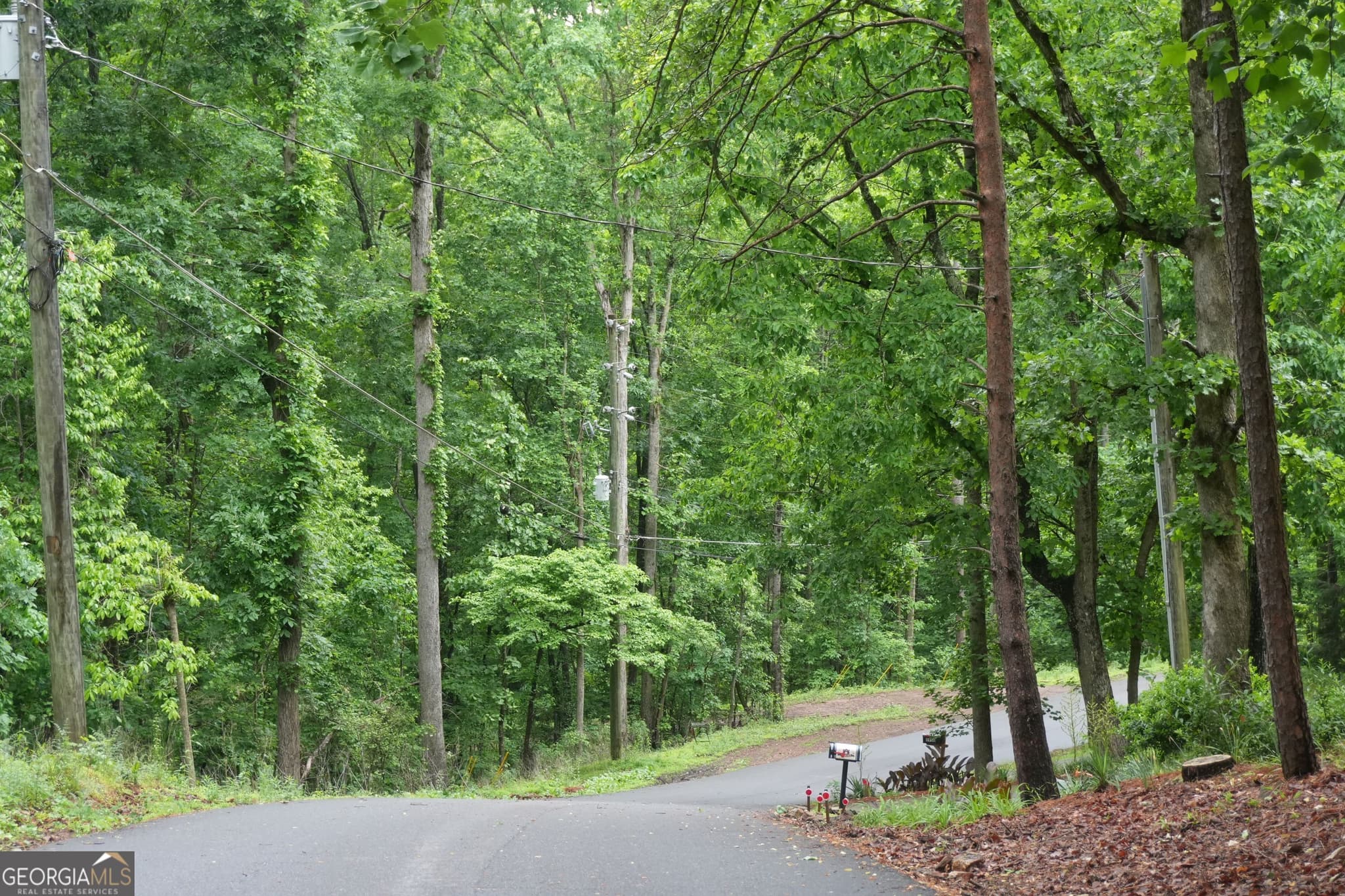 unimproved land for sale at 0 Quail Mountain Trail, Gainesville, GA 30506 — photo 3