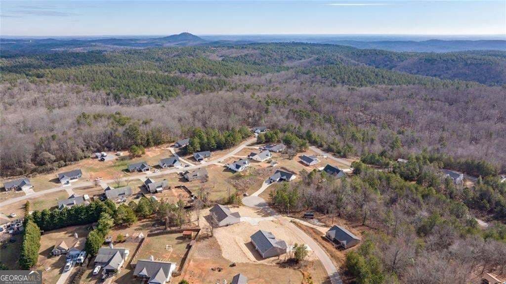 3 bedroom, 2 bathroom, 1,618 sq ft single family residence for sale at 613 Cypress Drive, Mount Airy, GA 30563 — photo 9