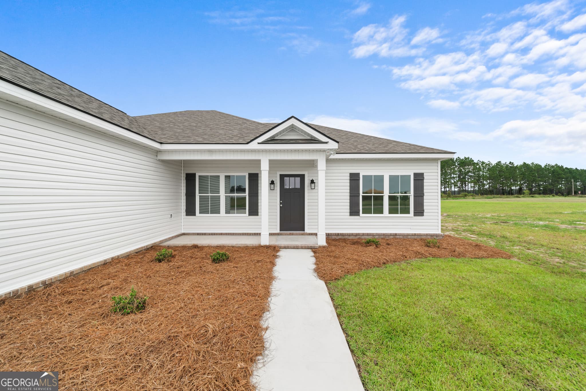 3 bedroom, 2 bathroom, 1,368 sq ft single family residence for sale at 161 Landmark Circle LOT 28, Statesboro, GA 30458 — photo 3