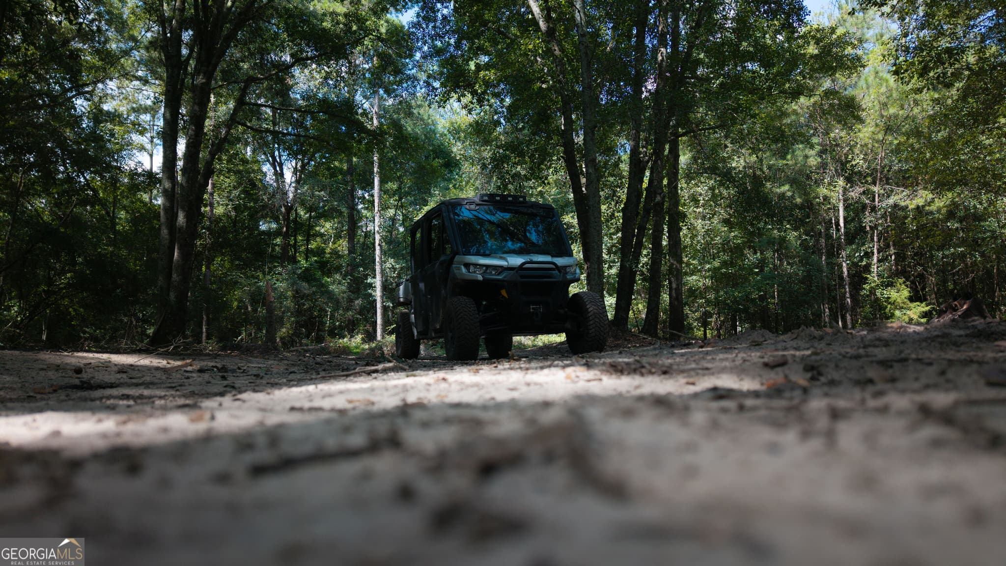 unimproved land for sale at 0 River Road, Montezuma, GA 31063 — photo 2