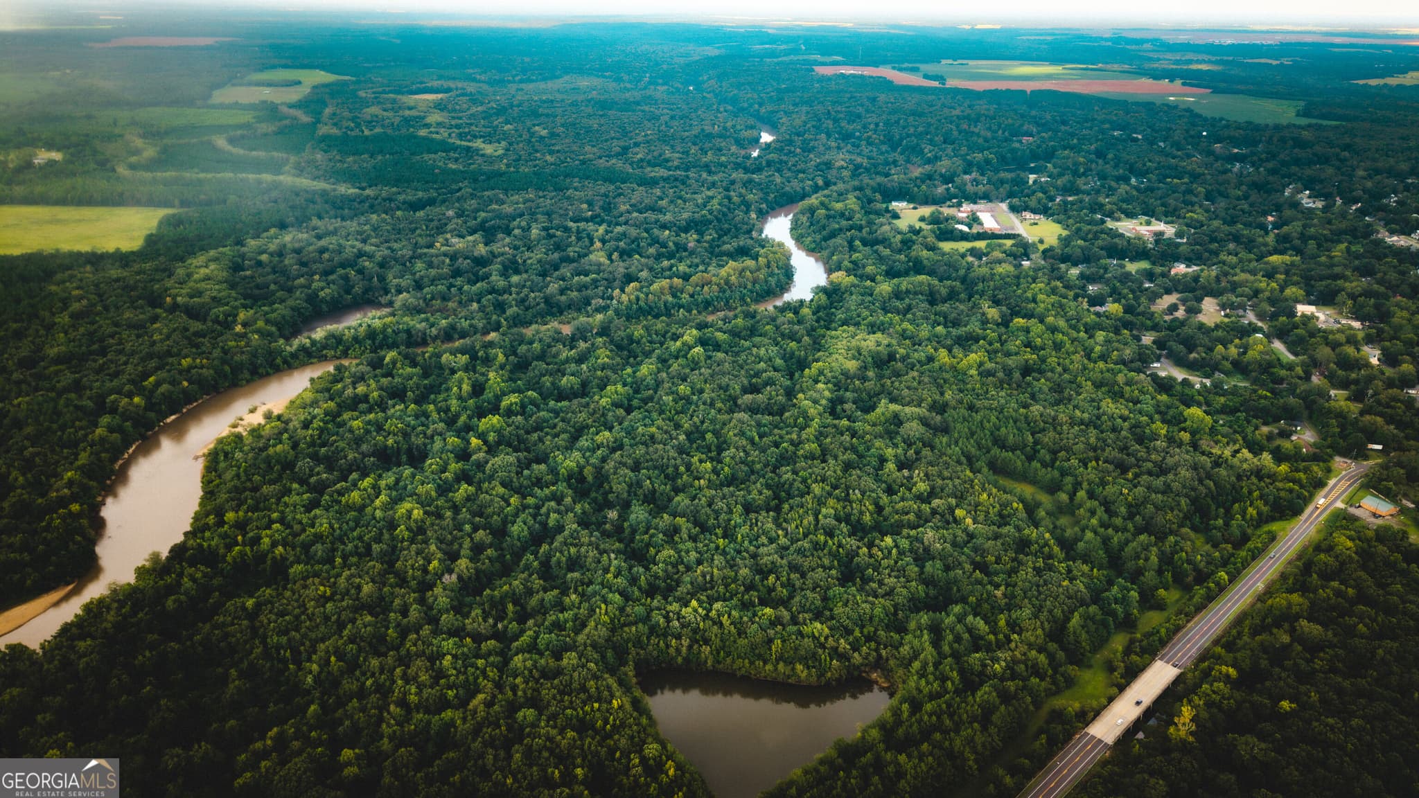 unimproved land for sale at 0 River Road, Montezuma, GA 31063 — photo 9