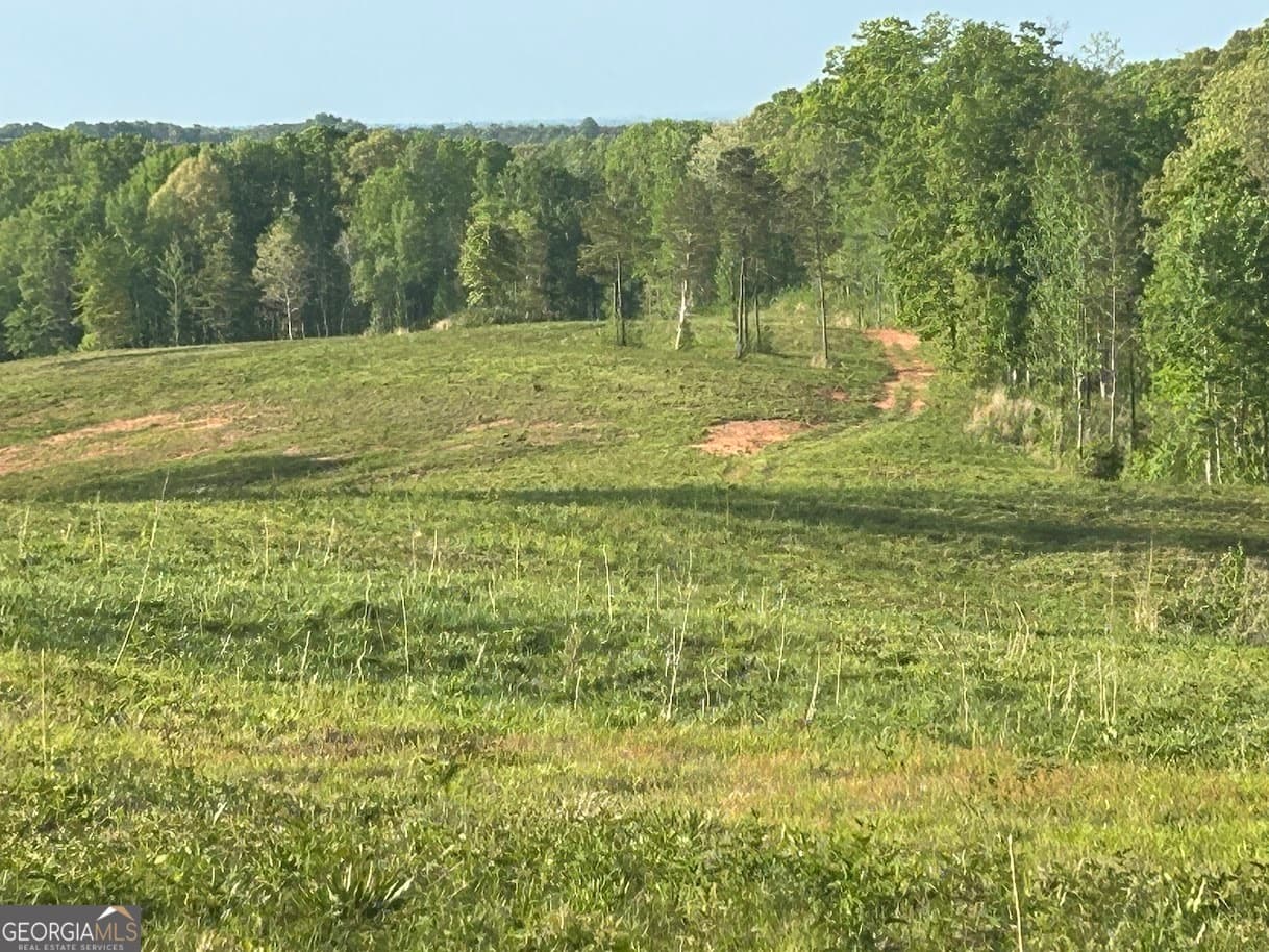 agriculture for sale at 0 Needmore Road (345.37 ACRES), Roopville, GA 30170 — photo 2