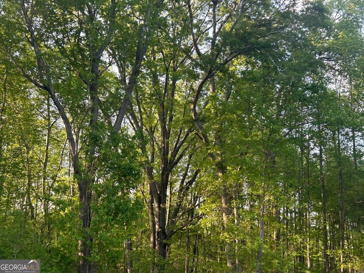 agriculture for sale at 0 Needmore Road (345.37 ACRES), Roopville, GA 30170 — photo 6