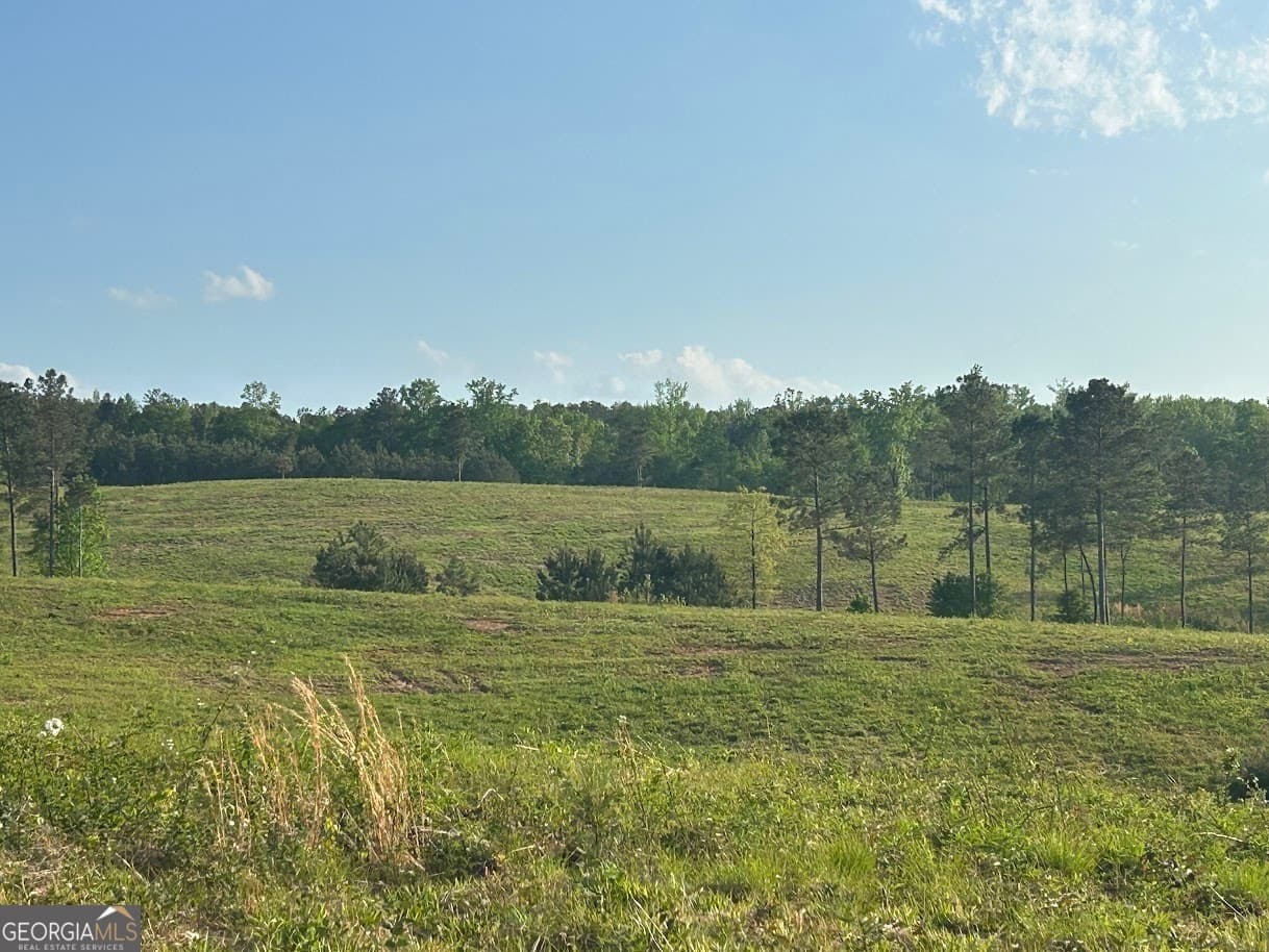 agriculture for sale at 0 Needmore Road (345.37 ACRES), Roopville, GA 30170