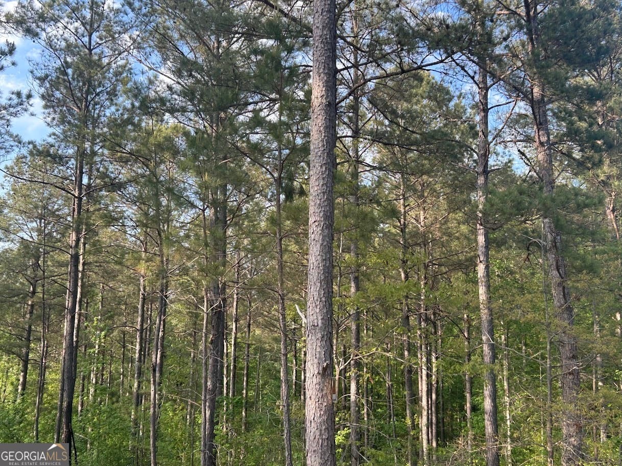 agriculture for sale at 0 Needmore Road (345.37 ACRES), Roopville, GA 30170 — photo 5