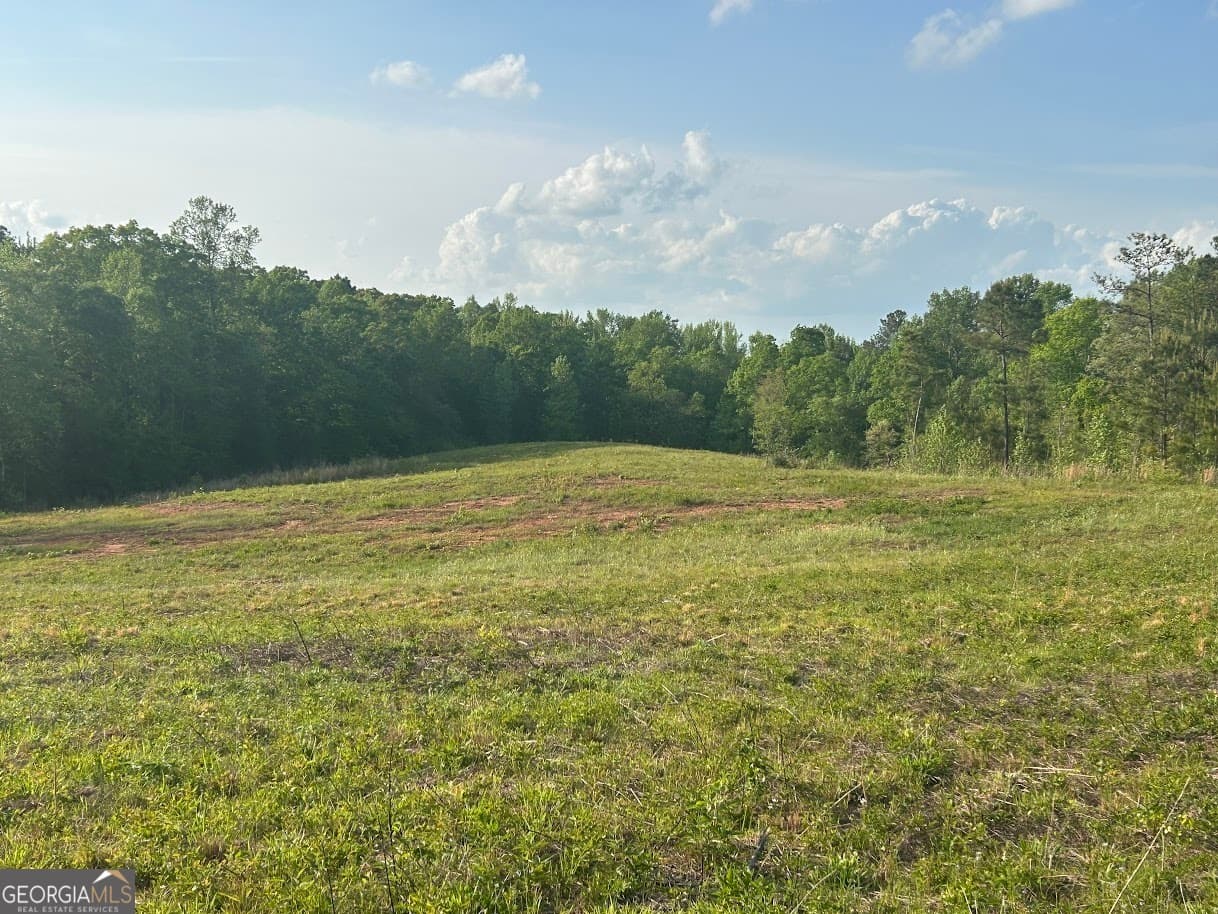agriculture for sale at 0 Needmore Road (345.37 ACRES), Roopville, GA 30170 — photo 10