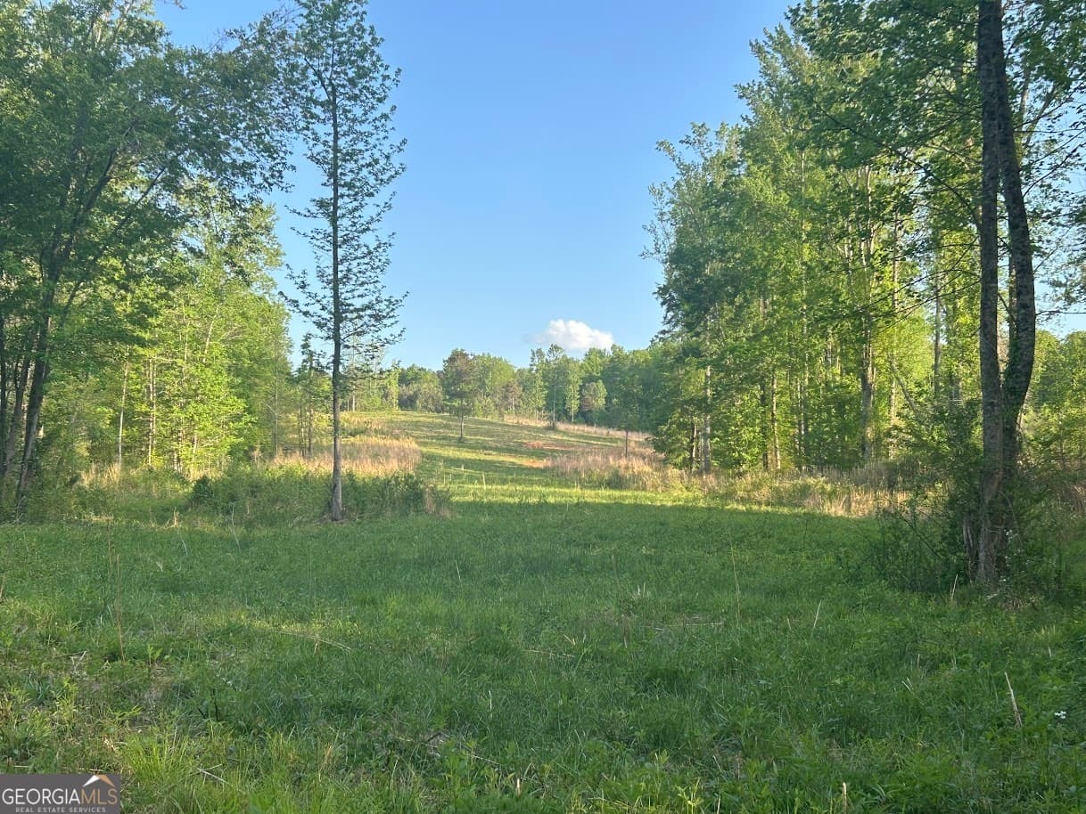 agriculture for sale at 0 Needmore Road (345.37 ACRES), Roopville, GA 30170 — photo 4
