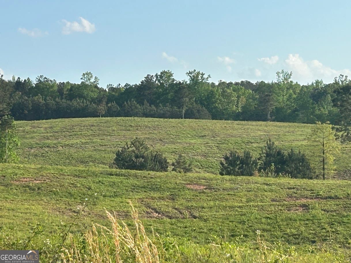 agriculture for sale at 0 Needmore Road (345.37 ACRES), Roopville, GA 30170 — photo 8