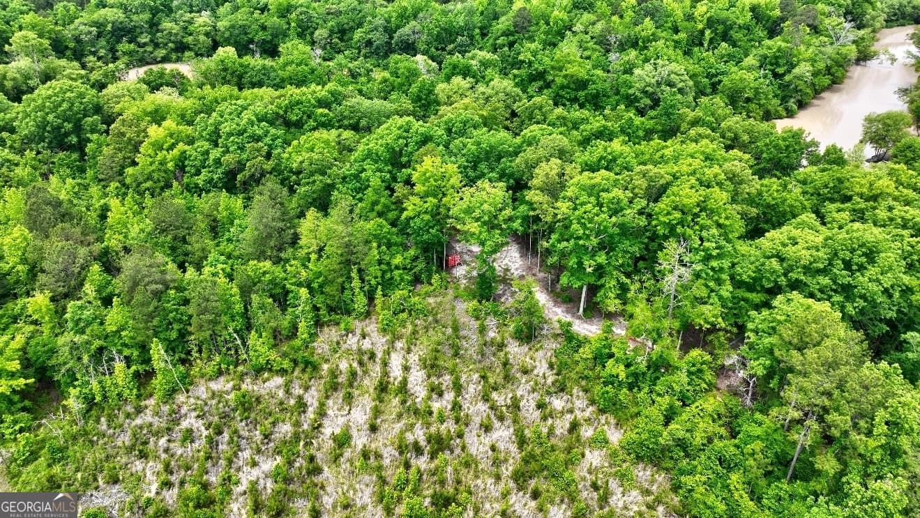 residential lot for sale at 432 River Oak Drive, Eatonton, GA 31024 — photo 9