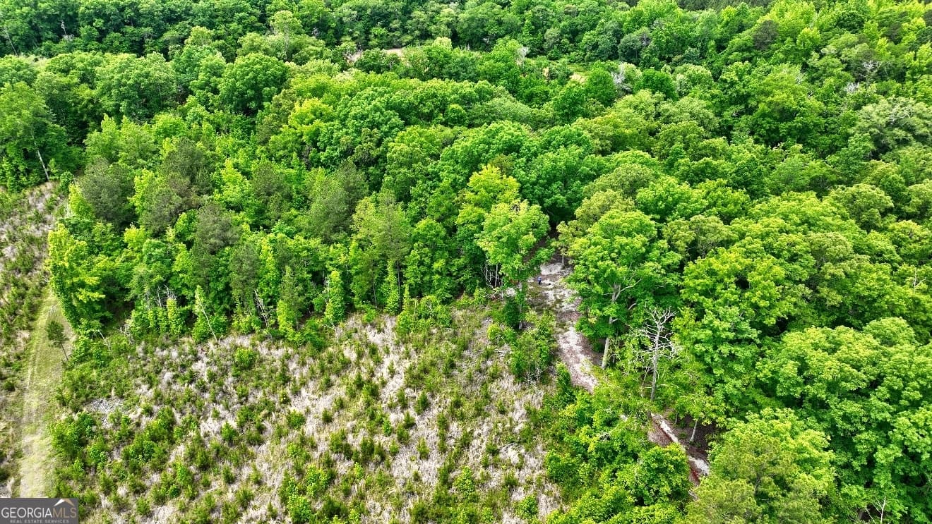 residential lot for sale at 432 River Oak Drive, Eatonton, GA 31024 — photo 10