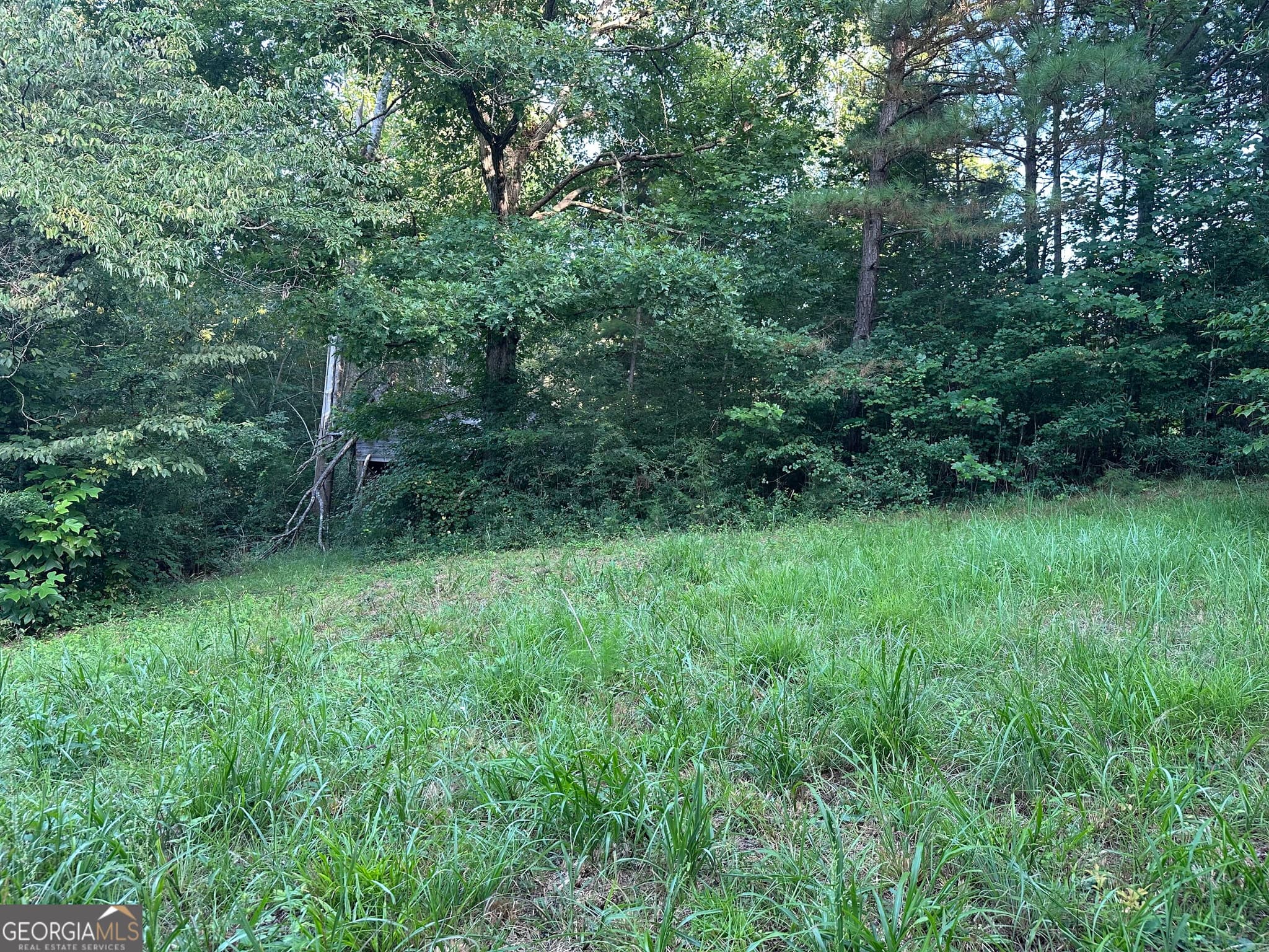 3 bedroom, 2 bathroom, 1,537 sq ft single family residence for sale at 1069 Harbert Valley Road, Toccoa, GA 30577 — photo 6