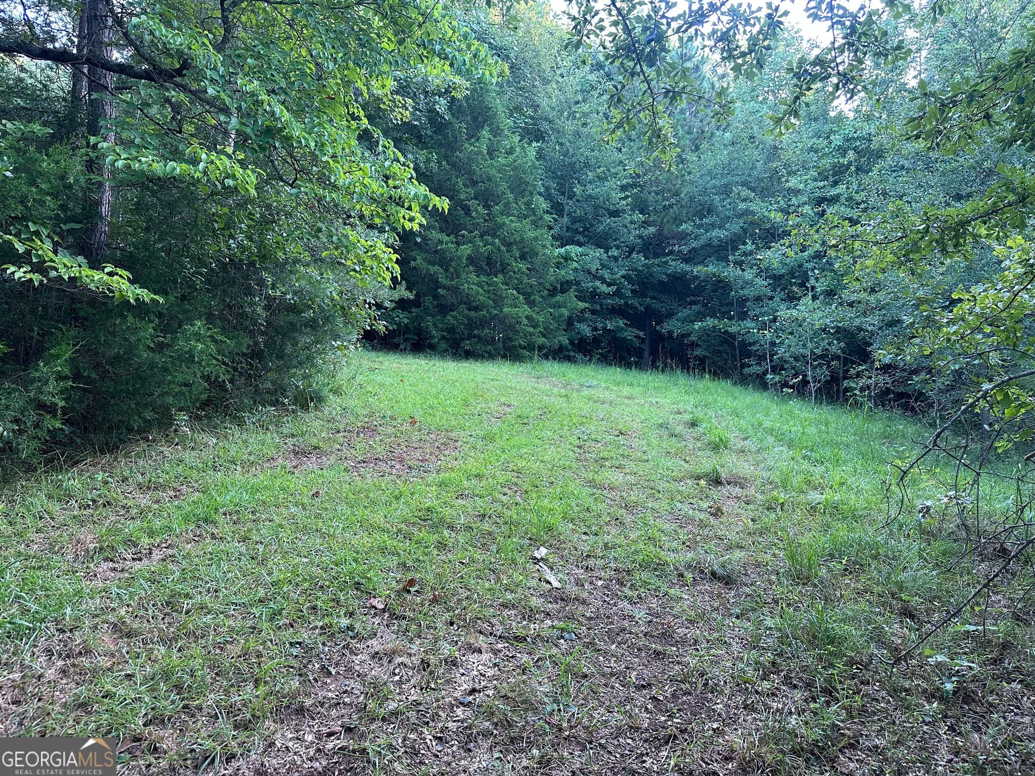 3 bedroom, 2 bathroom, 1,537 sq ft single family residence for sale at 1069 Harbert Valley Road, Toccoa, GA 30577 — photo 7