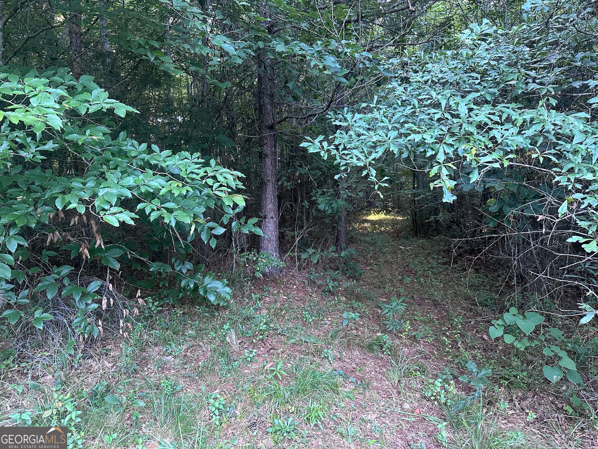 3 bedroom, 2 bathroom, 1,537 sq ft single family residence for sale at 1069 Harbert Valley Road, Toccoa, GA 30577 — photo 9