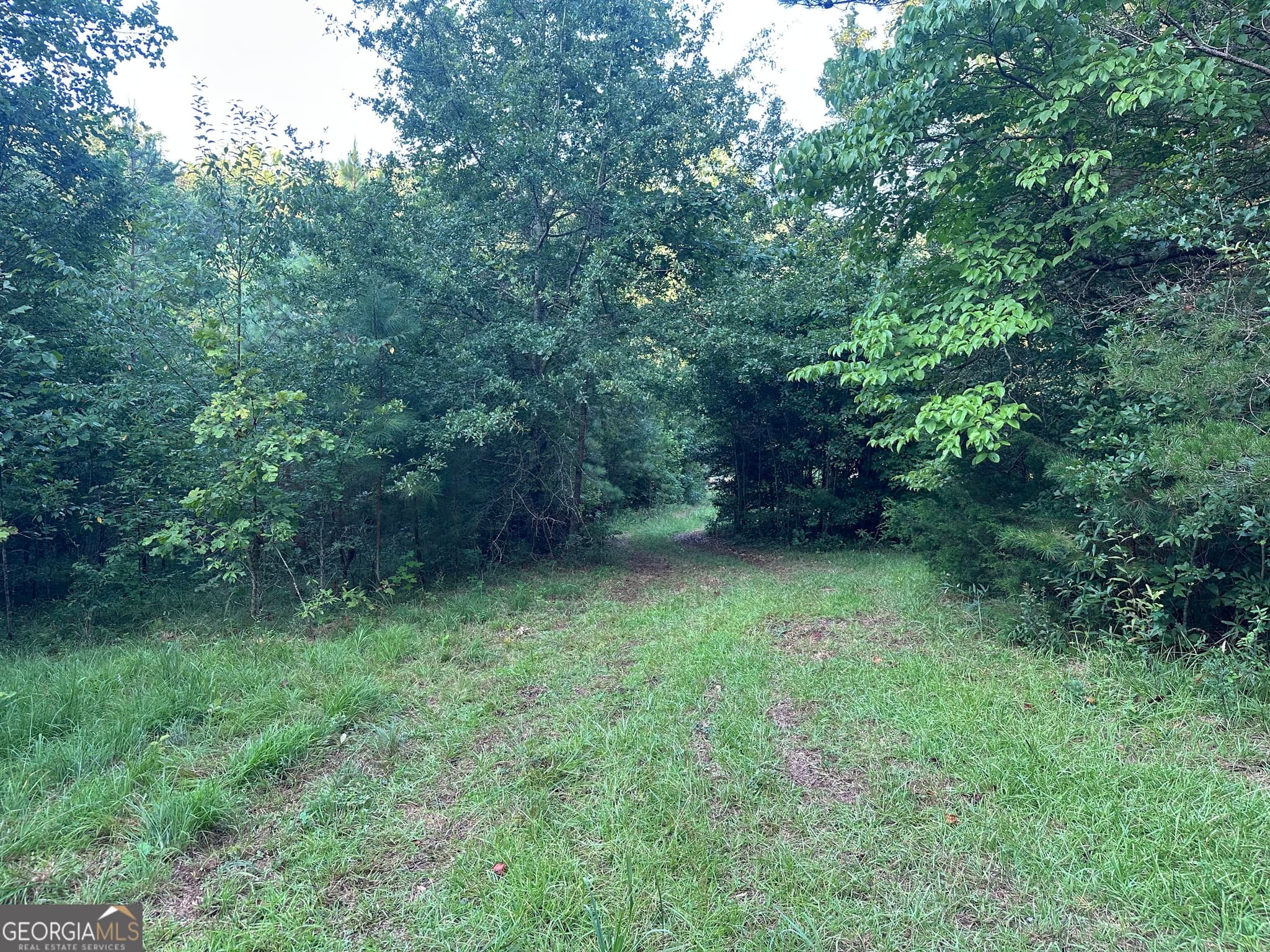 3 bedroom, 2 bathroom, 1,537 sq ft single family residence for sale at 1069 Harbert Valley Road, Toccoa, GA 30577 — photo 8