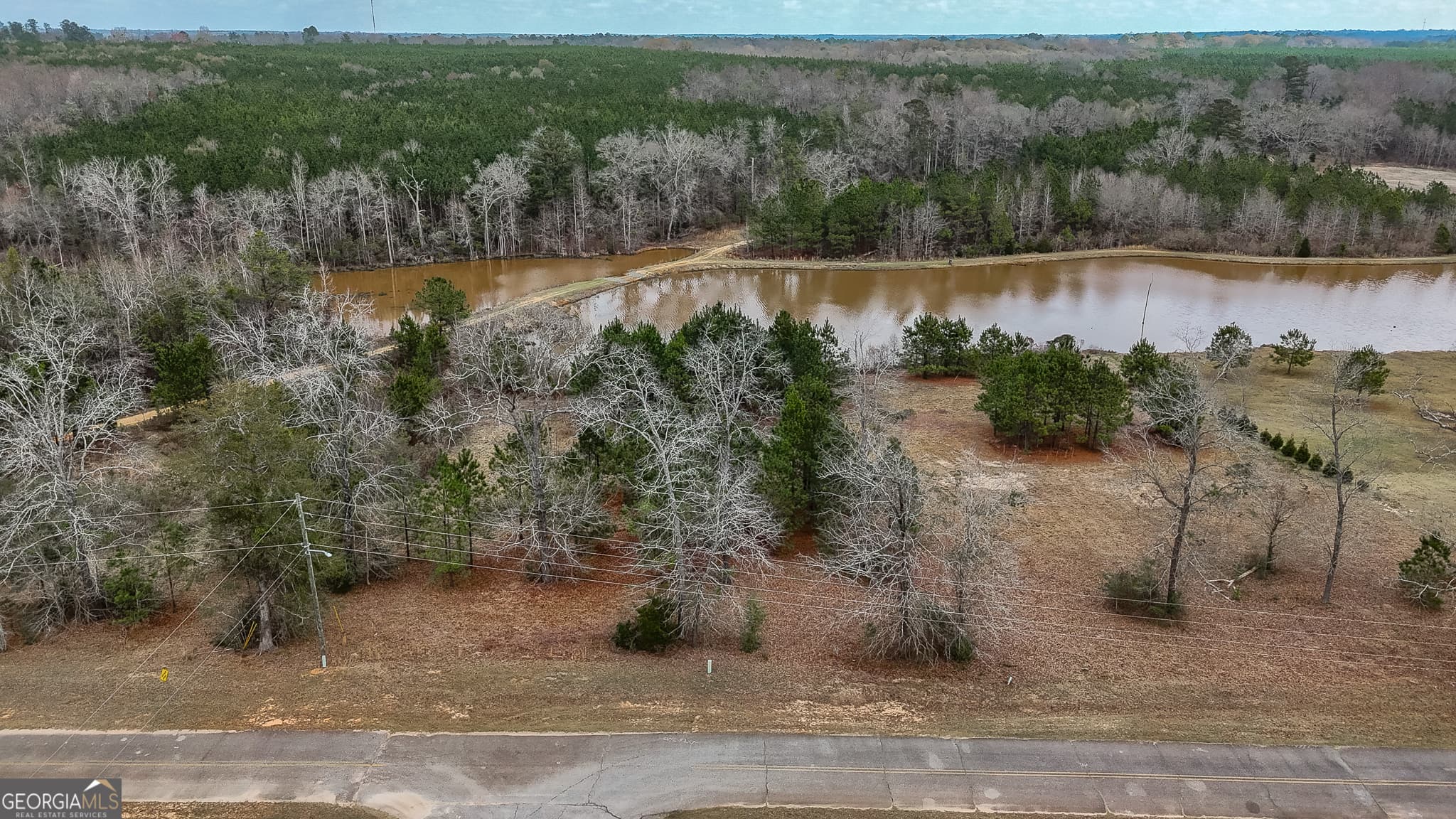 residential lot for sale at 0 Wolf Creek Drive, Americus, GA 31709 — photo 7
