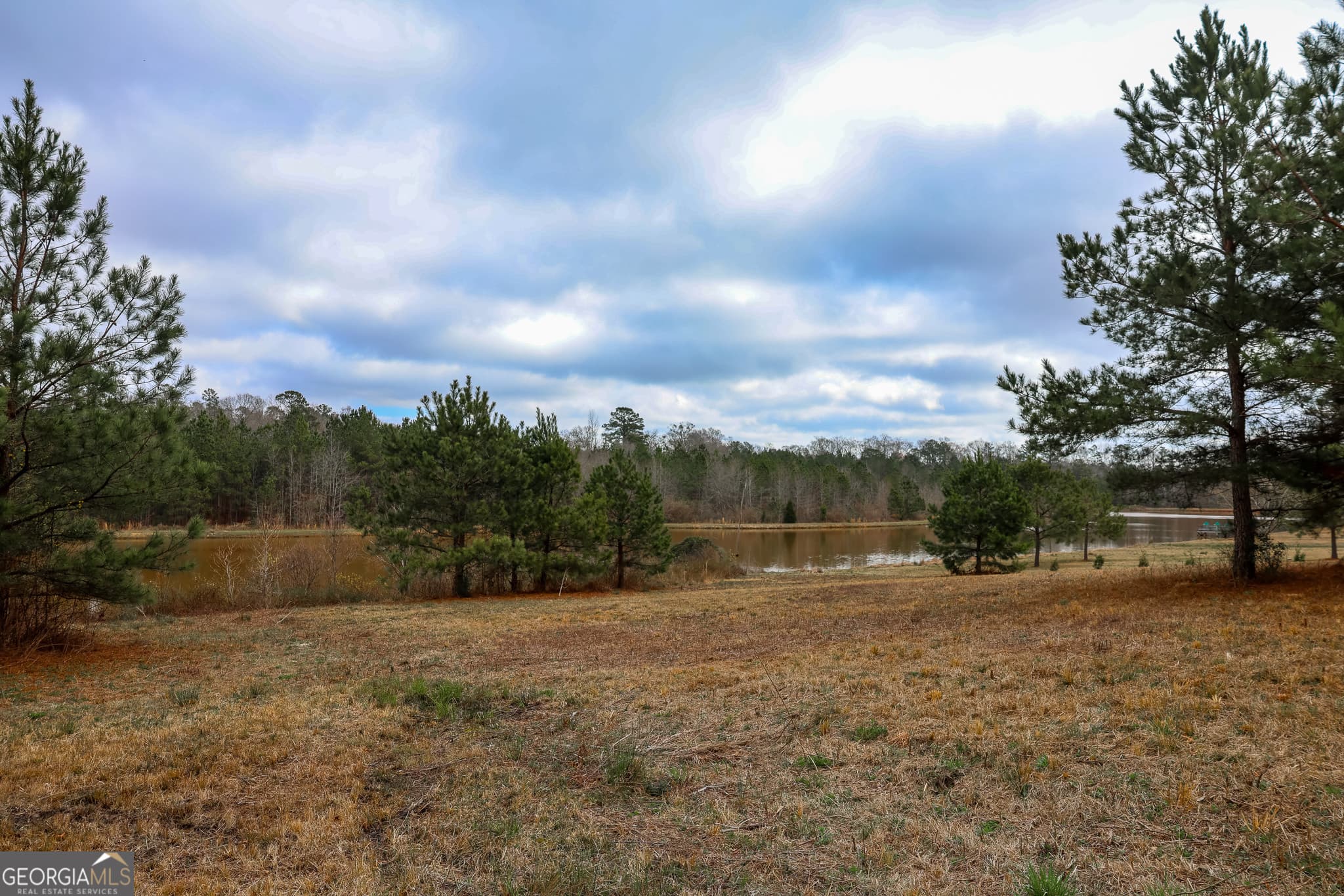 residential lot for sale at 0 Wolf Creek Drive, Americus, GA 31709 — photo 9