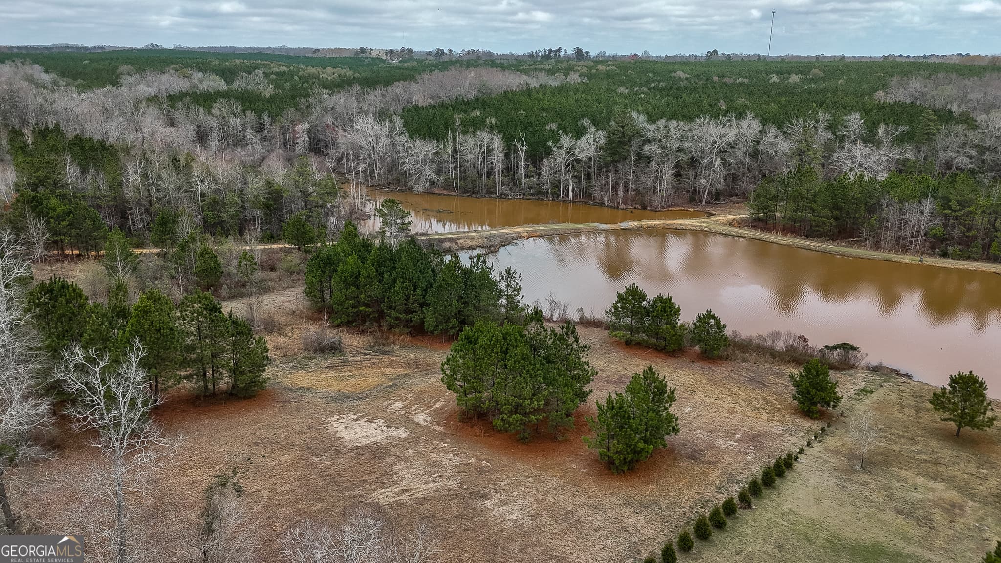 residential lot for sale at 0 Wolf Creek Drive, Americus, GA 31709 — photo 4