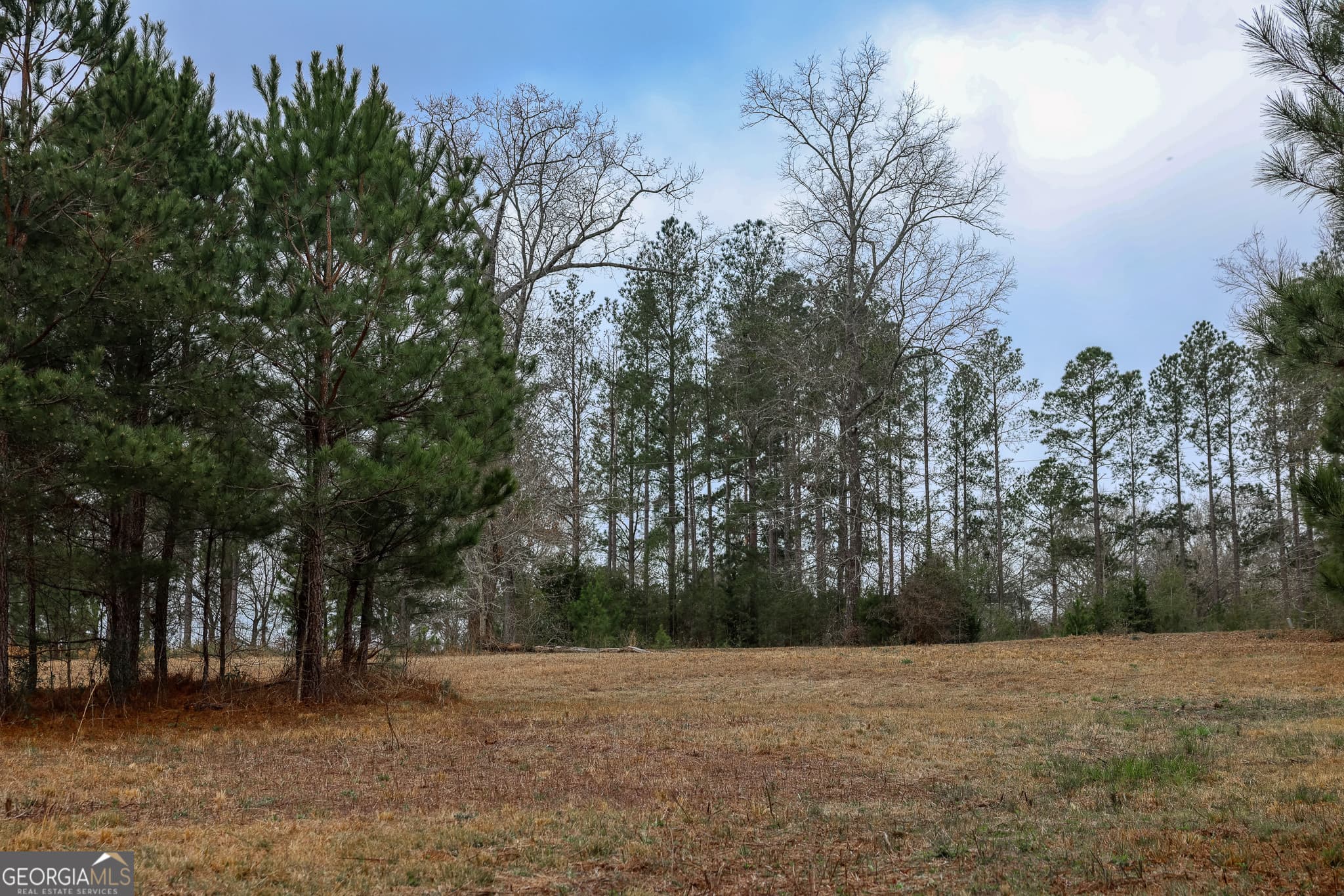 residential lot for sale at 0 Wolf Creek Drive, Americus, GA 31709 — photo 8