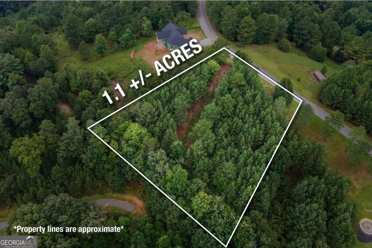 commercial for sale at LOT 29 Sunset View, Blairsville, GA 30512 — photo 2