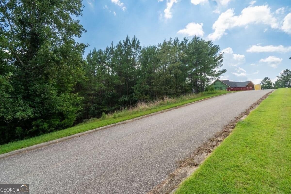 commercial for sale at LOT 29 Sunset View, Blairsville, GA 30512 — photo 6