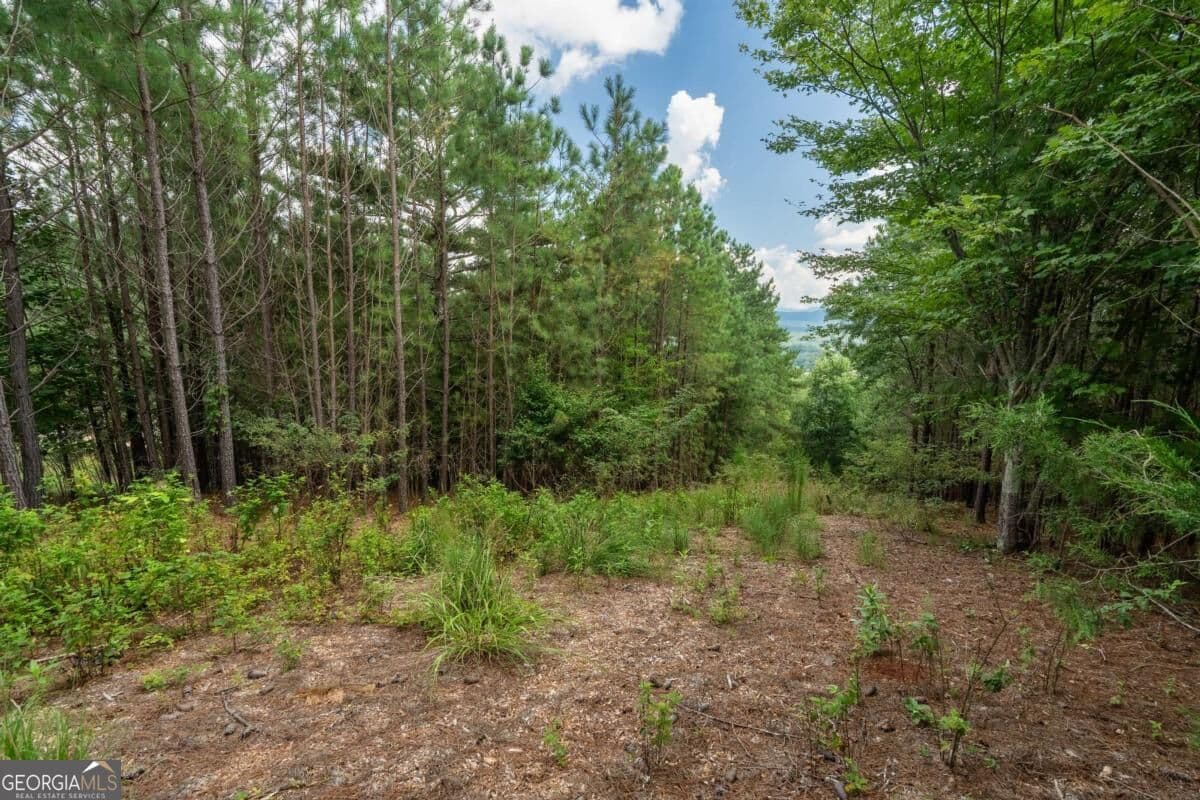 commercial for sale at LOT 29 Sunset View, Blairsville, GA 30512 — photo 7