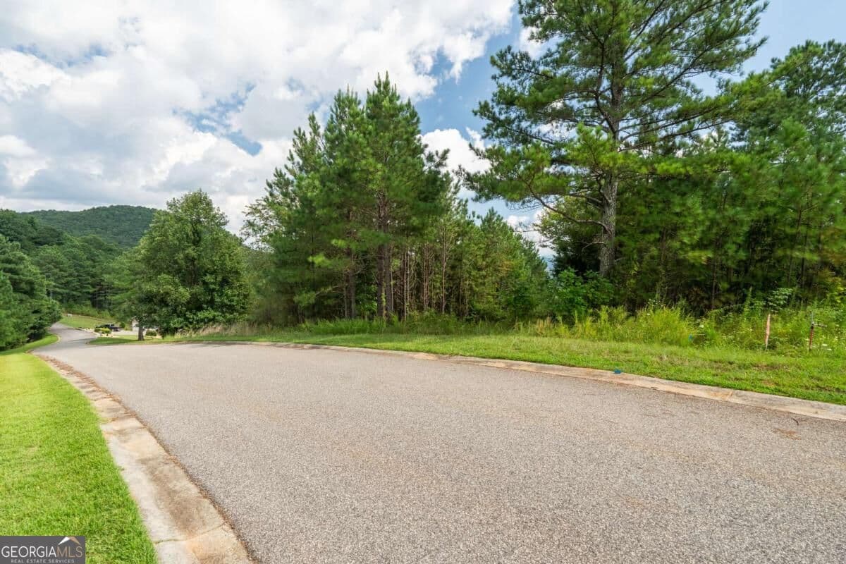 commercial for sale at LOT 29 Sunset View, Blairsville, GA 30512 — photo 3