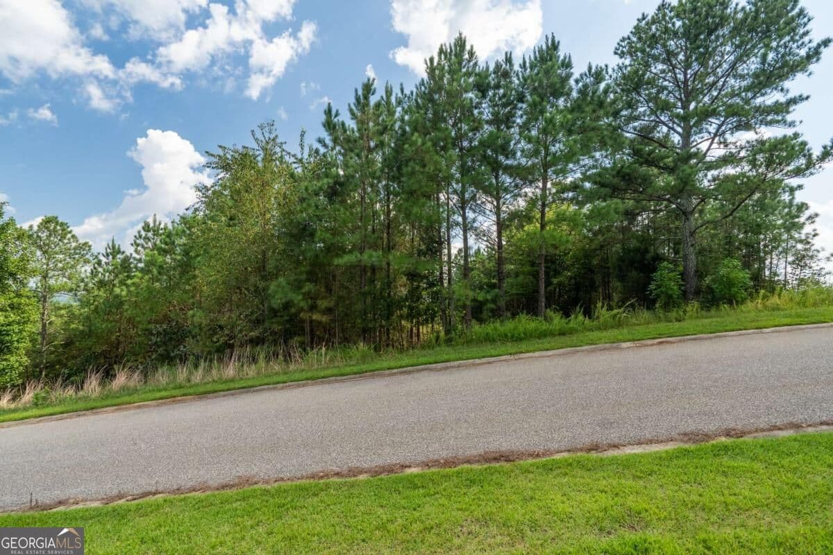 commercial for sale at LOT 29 Sunset View, Blairsville, GA 30512 — photo 5