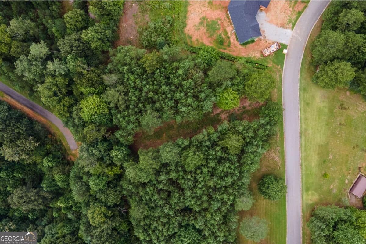 commercial for sale at LOT 29 Sunset View, Blairsville, GA 30512 — photo 9