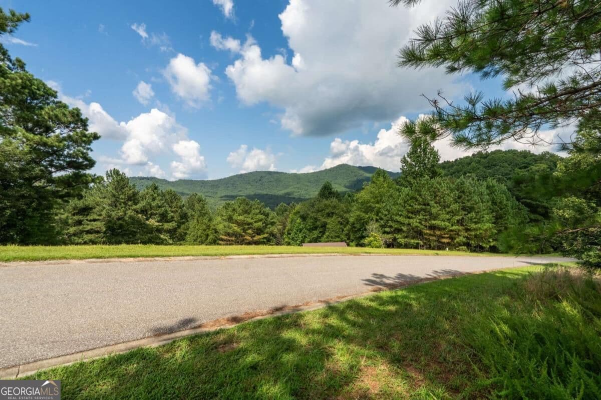 commercial for sale at LOT 29 Sunset View, Blairsville, GA 30512 — photo 4