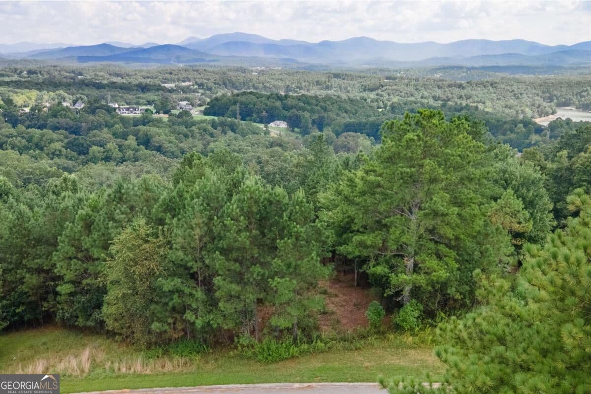 commercial for sale at LOT 29 Sunset View, Blairsville, GA 30512 — photo 8