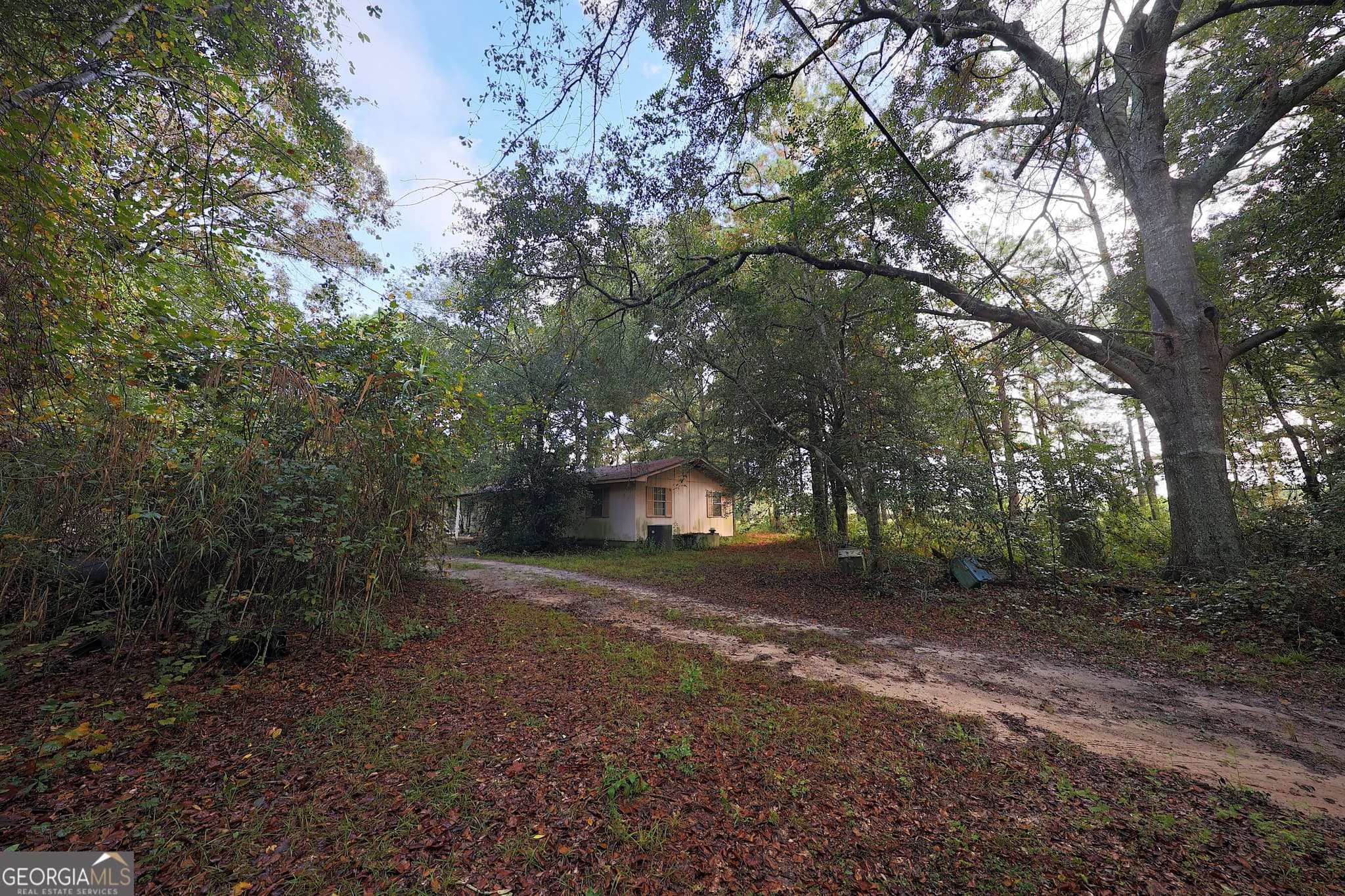 3 bedroom, 2 bathroom, 1,440 sq ft single family residence for sale at 23481 N US Hwy 19 (7.46 ACRES), Ochlocknee, GA 31773 — photo 7