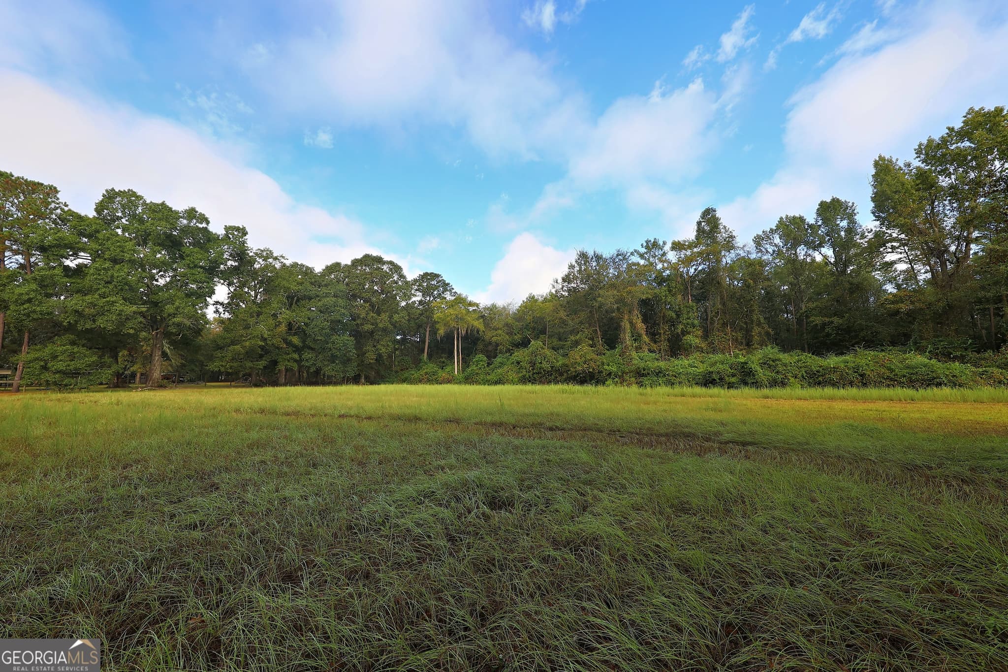 3 bedroom, 2 bathroom, 1,440 sq ft single family residence for sale at 23481 N US Hwy 19 (7.46 ACRES), Ochlocknee, GA 31773 — photo 3