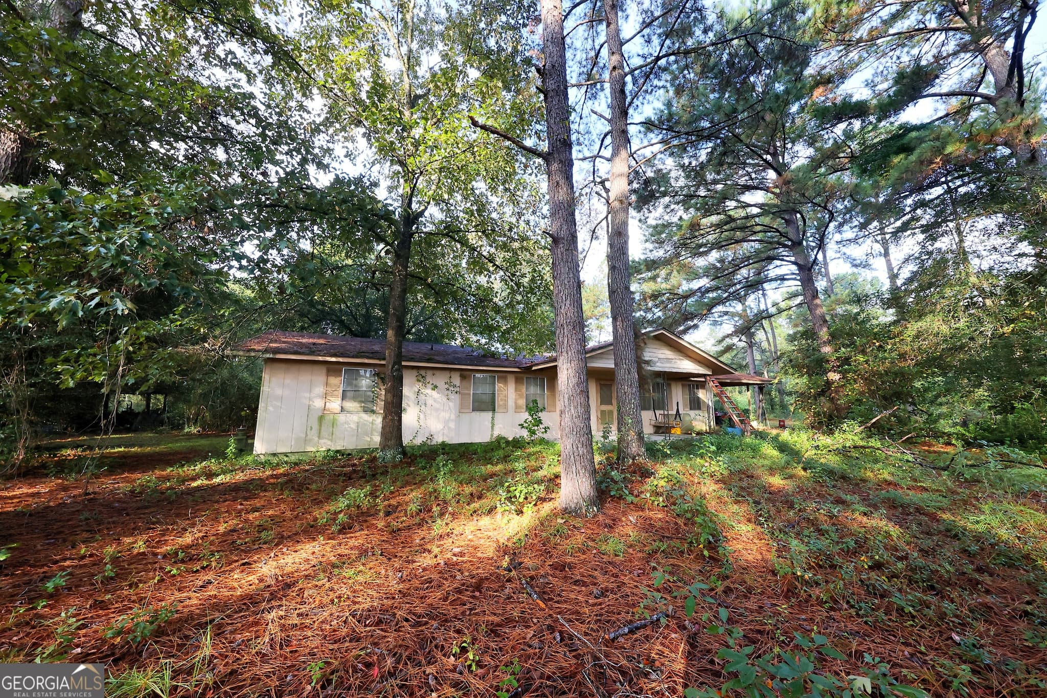 3 bedroom, 2 bathroom, 1,440 sq ft single family residence for sale at 23481 N US Hwy 19 (7.46 ACRES), Ochlocknee, GA 31773 — photo 5