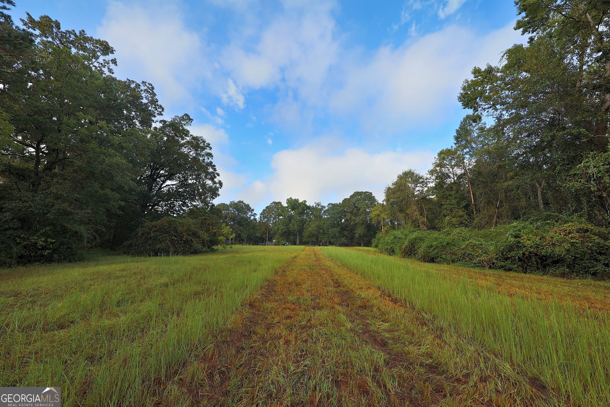 3 bedroom, 2 bathroom, 1,440 sq ft single family residence for sale at 23481 N US Hwy 19 (7.46 ACRES), Ochlocknee, GA 31773 — photo 9